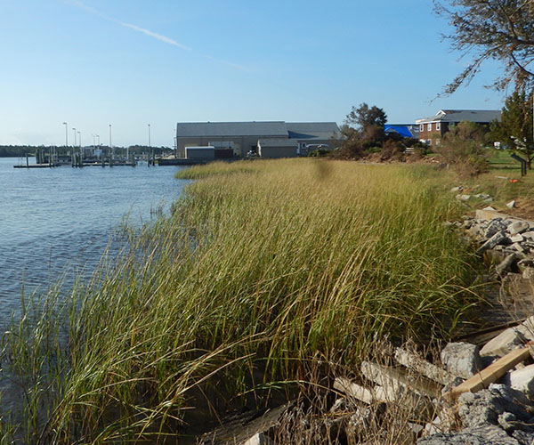 Beaufort site after Hurricane Florance