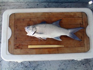 Moi fish for sashimi on a cutting board with chopsticks.