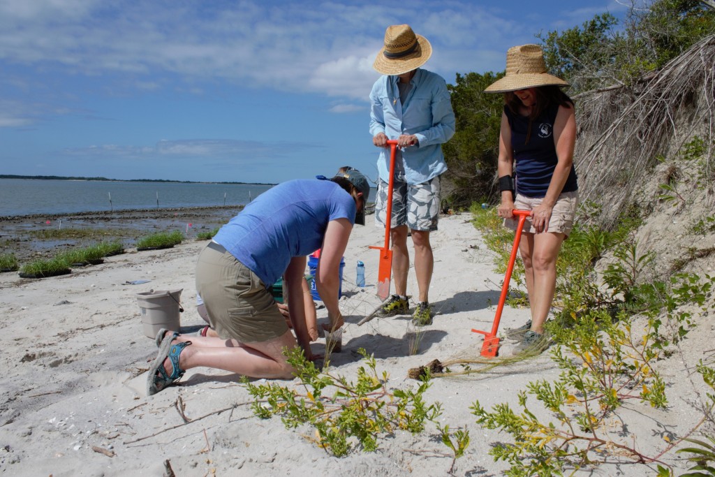 N.C.-Coastal-Reserve-and-Natinoal-Estuarine-Research-Reserve_NEED-TO-CREDIT-2-e1457450810312