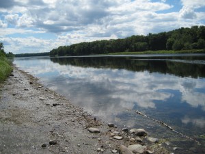 The banks of the Penobscot River