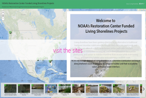 Visit the Map of living shoreline projects