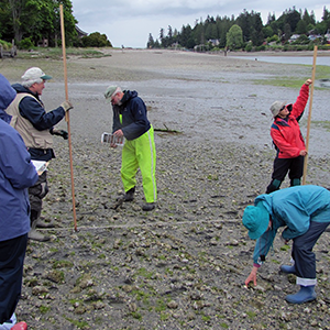 Scientists take measurements for a Landscape Scale partnership