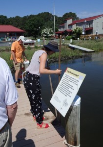 Learning to “tong” for oysters on Chesapeake Bay