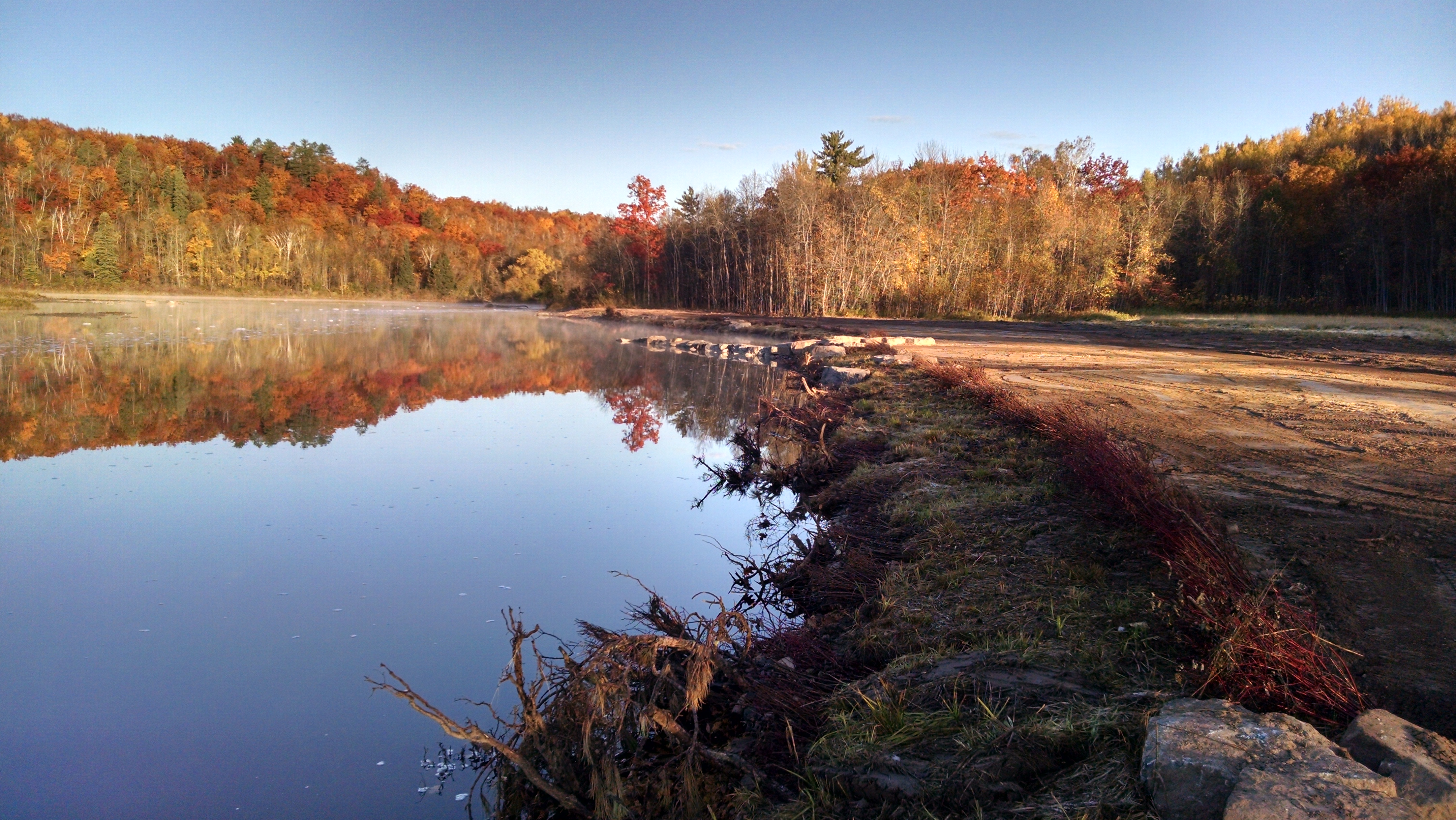 Chambers Grove within the St. Louis River estuary, in fall.