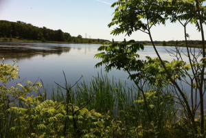 A view of the Muskegon Lake Area of Concern and NOAA Habitat Focus Area.
