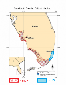 The map’s red striped area marks official Smalltooth Sawfish Critical Habitat, and the unprotected blue area indicates the NOAA Habitat Focus Area of Biscayne Bay. (NOAA)