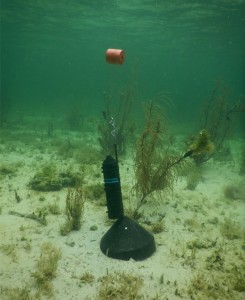 On the sea floor in Biscayne Bay, this shark tag receiver may have been knocked over by Hurricane Matthew. (NOAA)