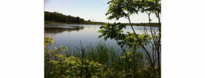 A view of the Muskegon Lake Area of Concern and NOAA Habitat Focus Area.