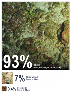 More than 93% of the seafloor does not show living coral.