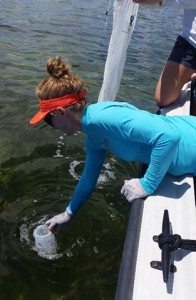 Dr. Ania Wachnica of Florida International University collects water samples for determining relative abundance of the major types of microscopic algae present (green algae, diatoms, dinoflagellates, or cyanobacteria).