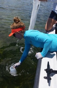 Dr. Ania Wachnica of Florida International University collects water samples for determining relative abundance of the major types of microscopic algae present (green algae, diatoms, dinoflagellates, or cyanobacteria). 