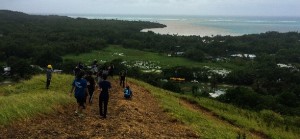 Volunteers work on hillside in Manell Geus Habitat Focus Area