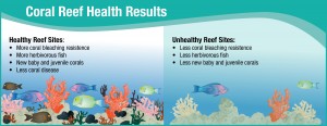 Healthy reef sites have more bleaching resistance, herbivorous fish, new and young corals and less coral disease. Unhealthy reef sites have less coral bleaching resistance, herbivorous fish, and new and young corals.