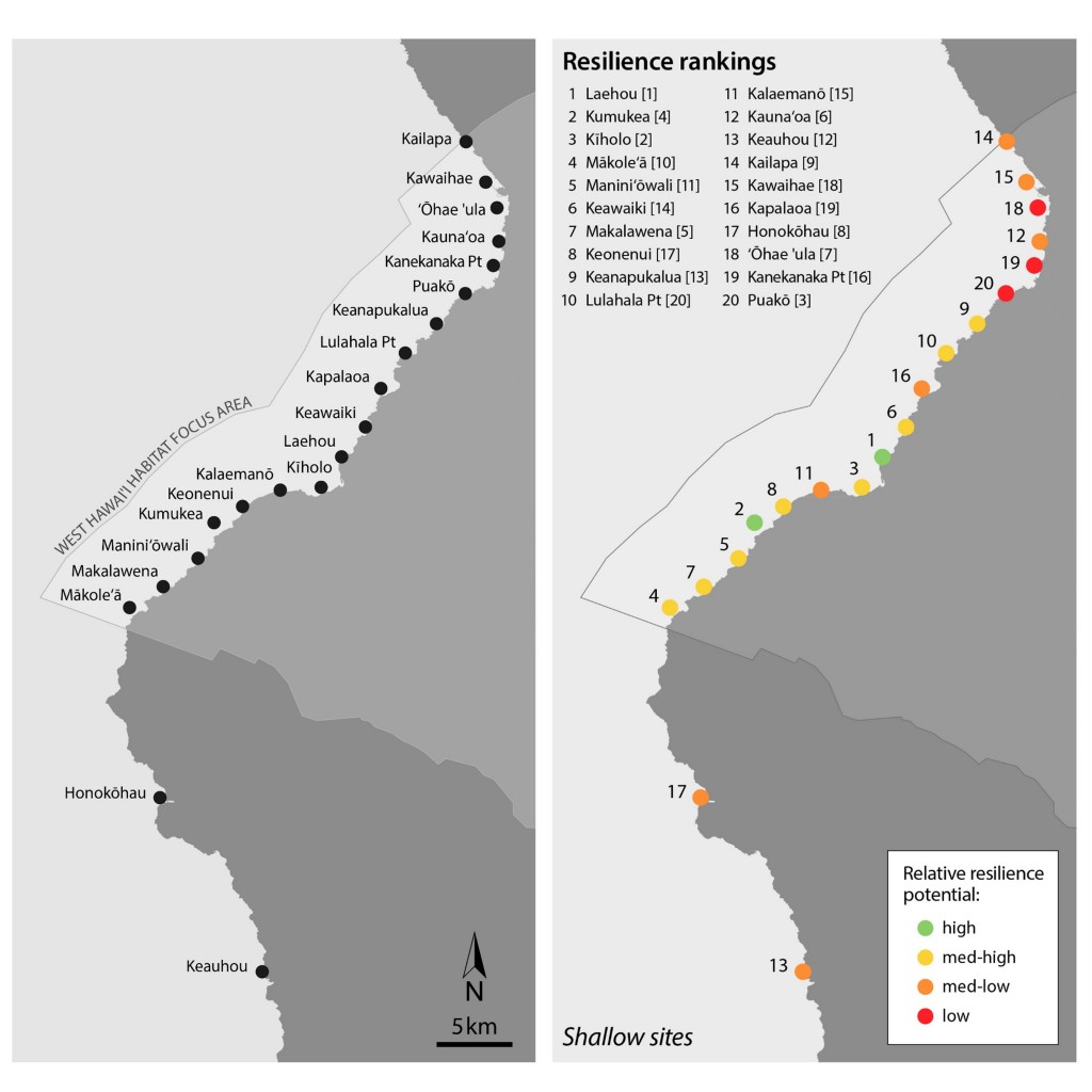 Left: Map of study sites in South Kohala, West Hawaiʻi where shallow and deep coral reefs were assessed within the NOAA West Hawaiʻi HFAn and North Kona. Right: Coral reef health and resilience rankings for each site. Healthier reefs more resilient to stress were observed in the southern portion of the West Hawaiʻi HFA, while less healthy and resilient reefs occurred further to the north. 