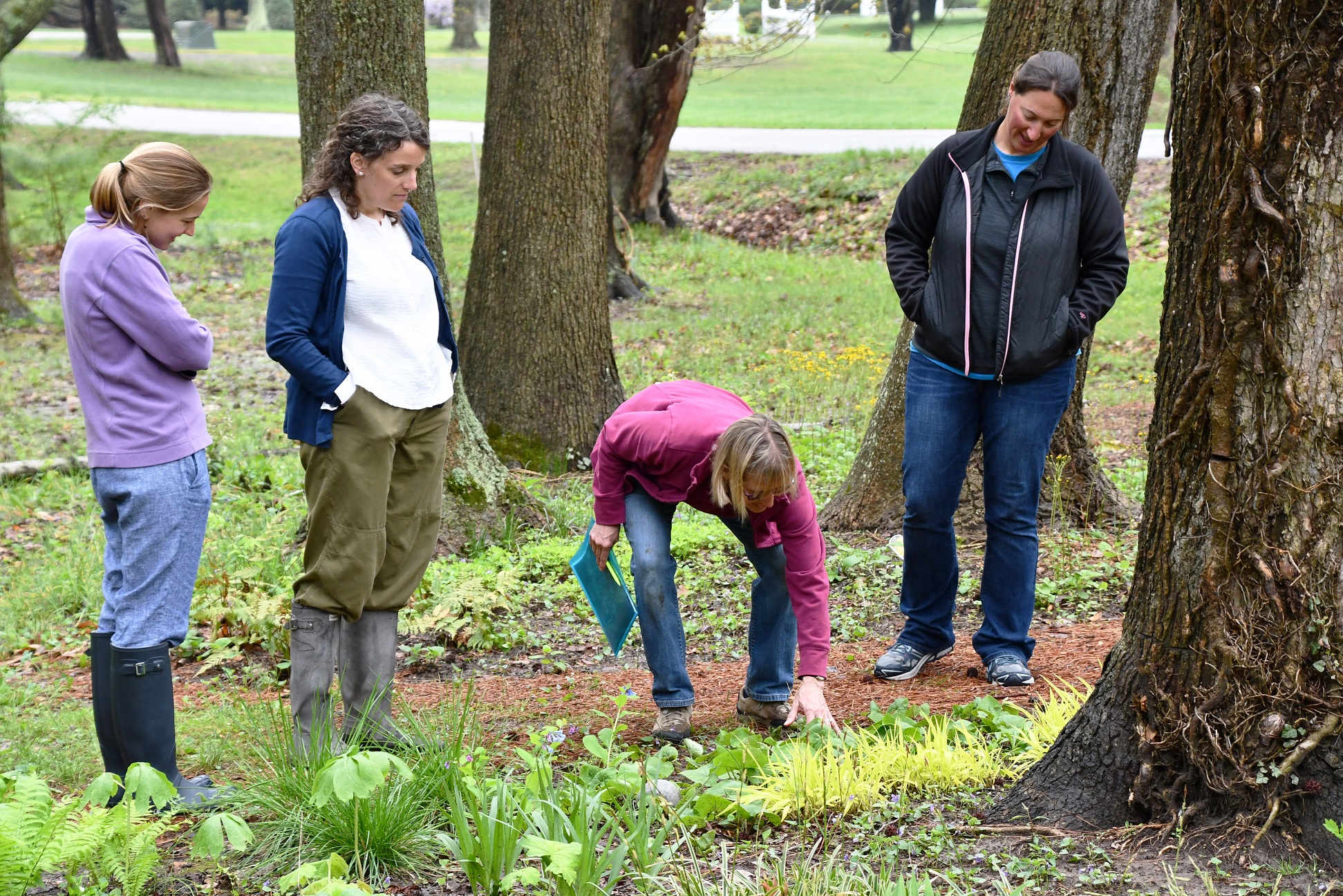 Janet, a Choptank watershed resident, describes her native plant garden to ESLC staff and NOAA visitors.