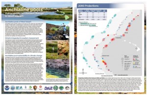 anchialine pools climate change vulnerability brochure