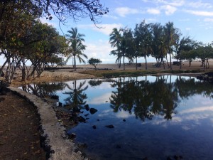 Anchialine pool at Kaʿelehuluhulu in West Hawaiʻi