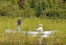 Community members canoe through an area of wild rice in the St. Louis River Estuary.