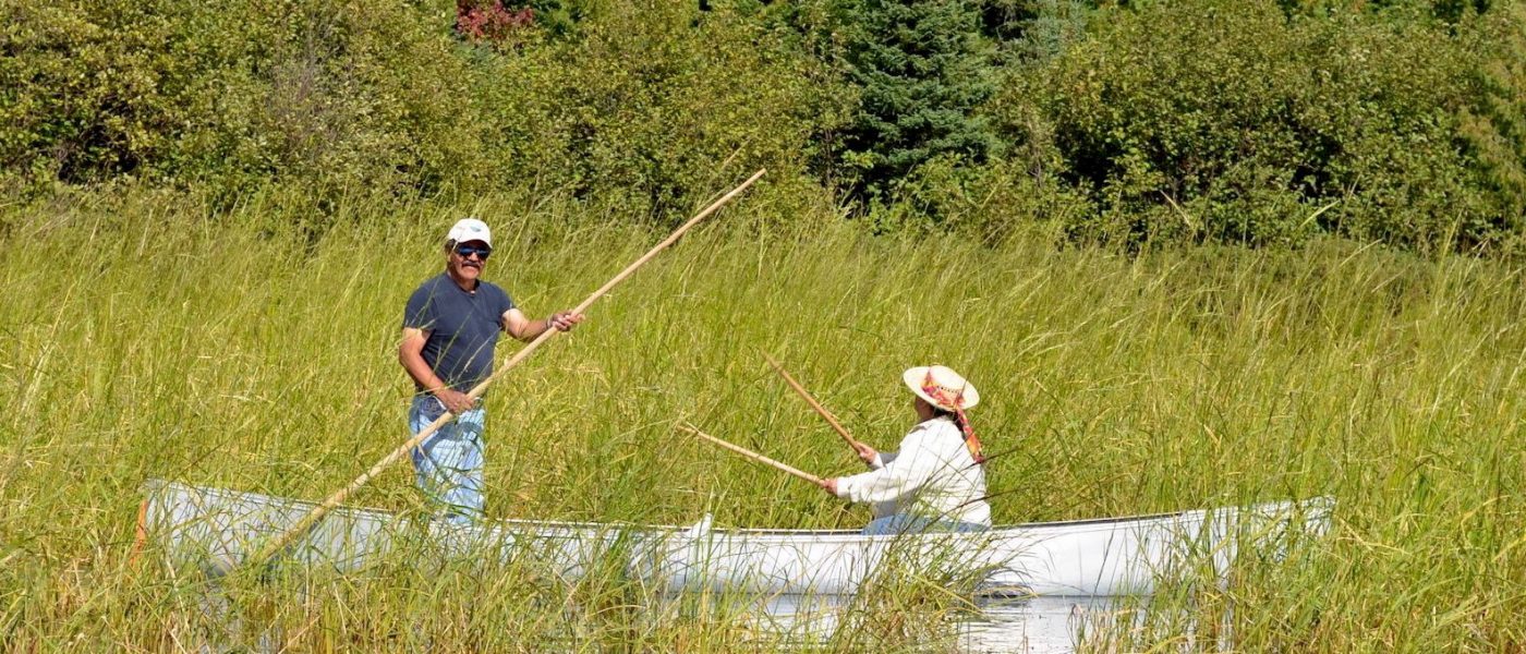 Community members canoe through an area of wild rice in the St. Louis River Estuary.
