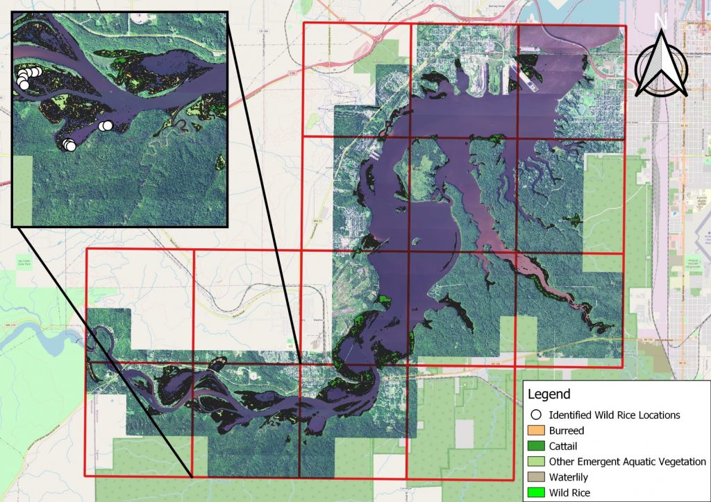 A map of hyperspectral imagery of the St. Louis River Estuary area, displaying wetland classifications and the locations of wild rice at the time of data collection. Credit: NOAA Office for Coastal Management
