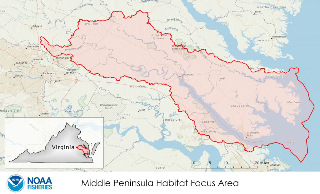Map of Middle Peninsula, Virginia Habitat Focus Area (HFA)