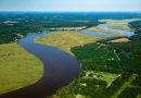 A river running through a low-lying patchwork landscape of farms, forests, and marshes. Credit: Chesapeake Bay Program