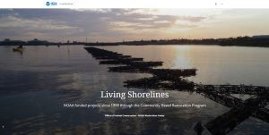 Photo of living shoreline