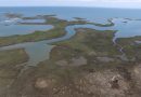 An aerial view (drone image) of Goodwin Island, showing marshy habitat with snaking channels running through that lead to open water