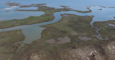 An aerial view (drone image) of Goodwin Island, showing marshy habitat with snaking channels running through that lead to open water