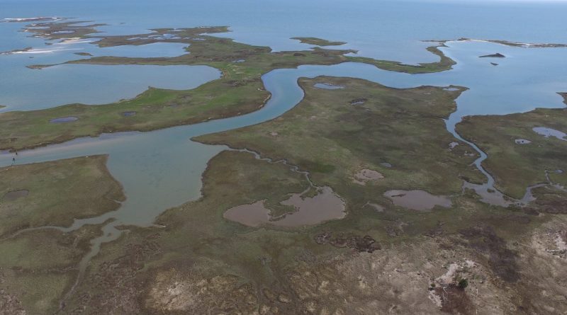 An aerial view (drone image) of Goodwin Island, showing marshy habitat with snaking channels running through that lead to open water