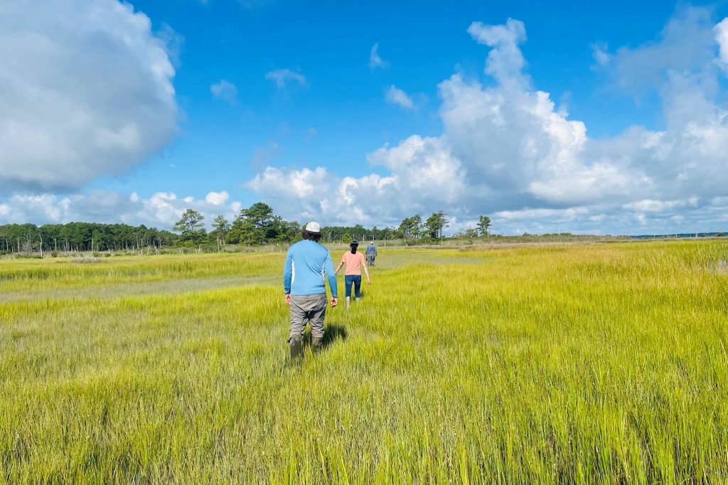 Three people walk across a grassy marsh with a forest in the background