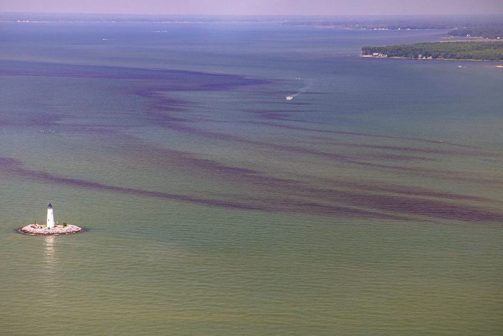 An aerial view of the York River with bands of dark red harmful algal blooms. A lighthouse sits in the image on the left.