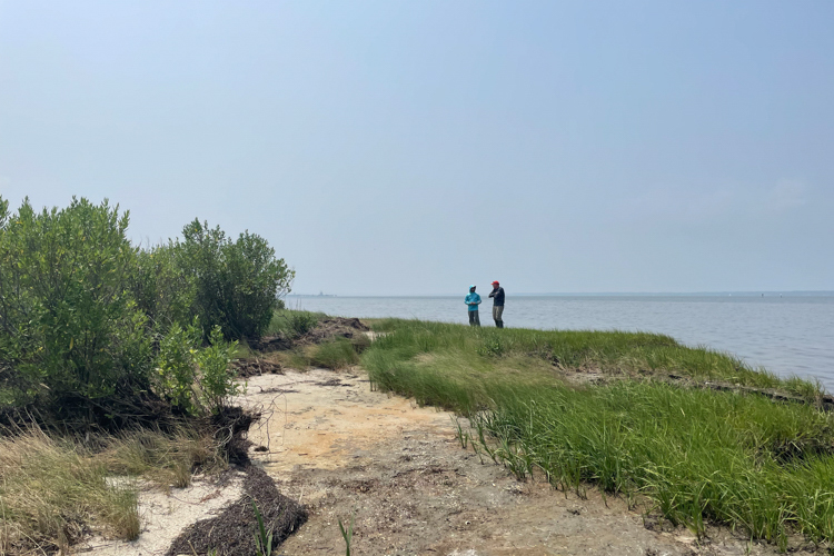 Two people stand on a shoreline. There is marshy shoreline, a sandy area, and salt scrub bushes are visible.
