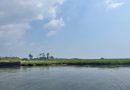 Water laps up against a mostly grassy shoreline. There is a small area of bulkheaded shoreline. In the background, there are a few taller trees.