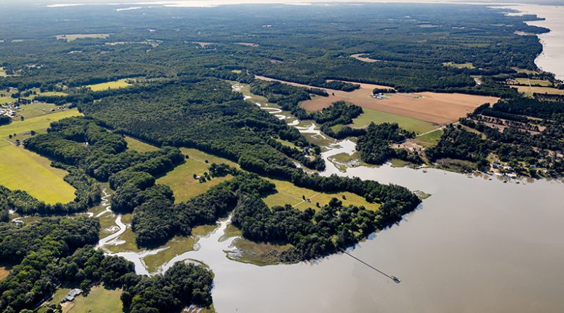 An aerial view of part of the Middle Peninsula Habitat Focus Area
