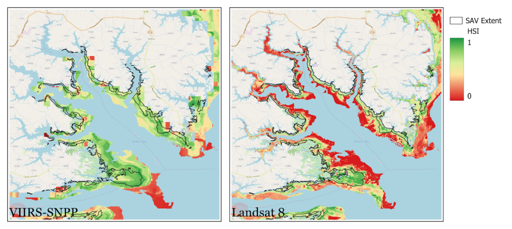 Two maps; one showing satellite data on where sea grasses are located, the other showing VIMS survey data on where sea grasses are located.
