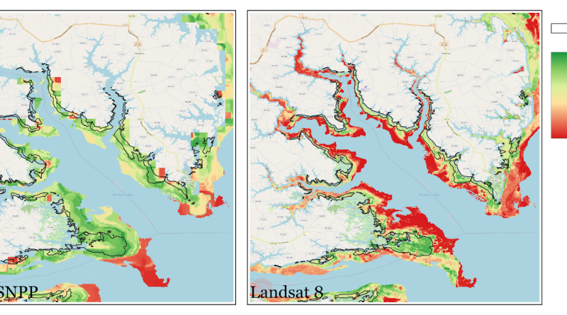 Two maps; one showing satellite data on where sea grasses are located, the other showing VIMS survey data on where sea grasses are located.